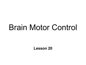 Brain Motor Control