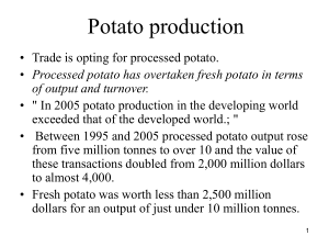 Potato processing7