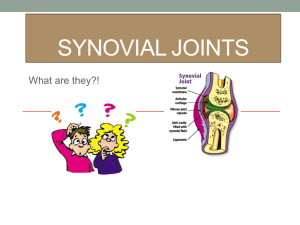 Synovial joints - churchillcollegebiblio
