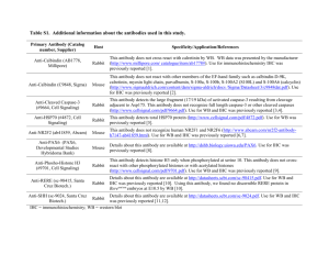 Table S1. Additional information about the antibodies used in this