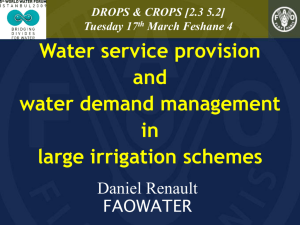 Water service provision and water demand management in large
