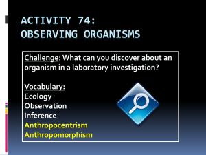 Activity 74: Observing Organisms