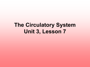 The Circulatory System Unit 3, Lesson 7 I. Purpose of the Circulatory