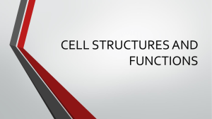 cell functions and structures
