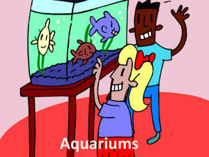 Aquarium Notes ppt