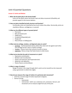Unit 4 Essential Questions