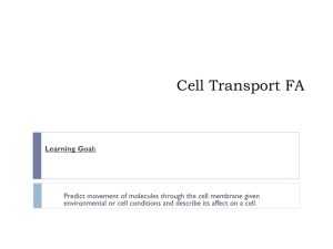 cell membrane transport tutorial