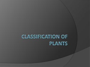 Classification of plants - Varga
