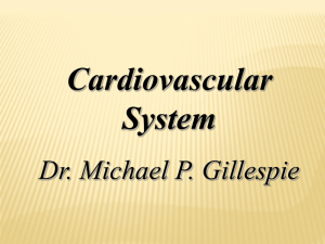 Medical_Terminology07_Cardiovascular