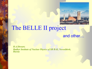 The BELLE II project