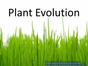 Plant Evolution
