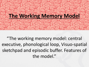 Lesson 3 (Working Memory Model)