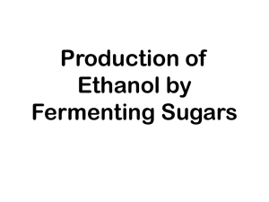 Production of Ethanol by Fermenting Sugars