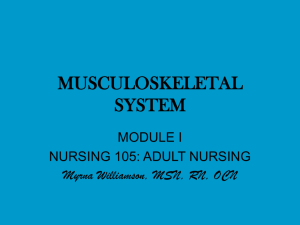 MUSCULOSKELETAL SYSTEM
