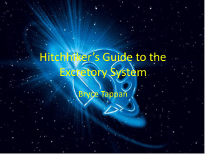 Hitchhiker*s Guide to the Excretory System