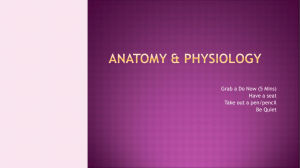 What is a Excretory System? - Ms.Francois' Anatomy & Physiology