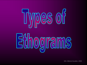 Ethogram Types