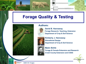 Forage Quality and Testing