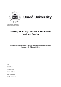 Preparatory Report - Diversity in the city: urban policies of inclusion
