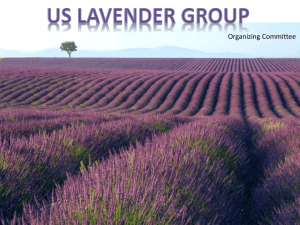 PowerPoint Presentation - United States Lavender Growers