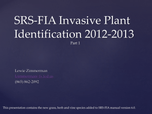Nonnative Invasives ID Part 1
