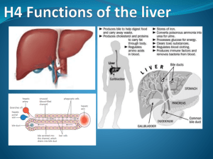 H4 Functions of the liver - IBDPBiology-Dnl