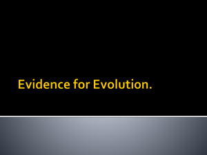 Evidence for Evolution - MAH-SBHS