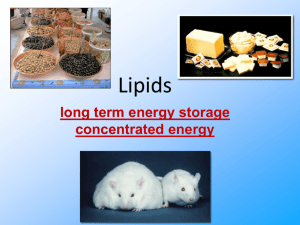 Lipids PPT