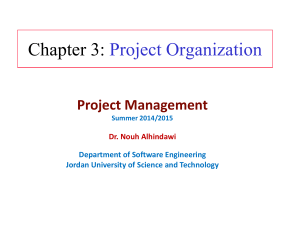 Project Organization Structure