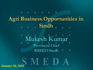 www.smeda.org - Sindh Enterprise Development Fund