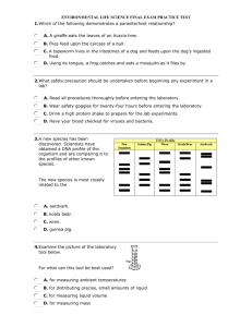 Practice Final Exam- ExCr - Mrs. Sills' Science Site