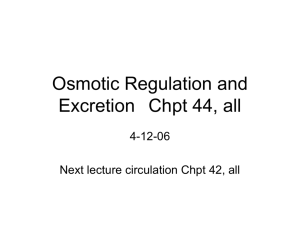 Osmotic Regulation and Excretion