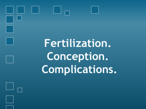 Fertilization. Conception. Complications.