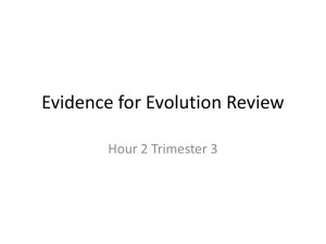 Evidence for Evolution Review