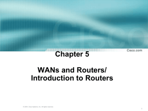 CCNA 2 Module 1 WANs and Routers