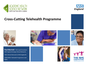 Cross-cutting telehealth programme