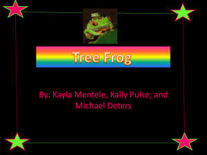 What cells are red eye tree frog have