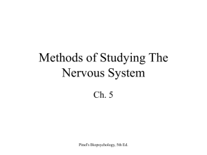 Methods of Studying The Nervous System - U