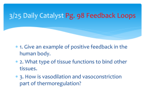 3/25 Daily Catalyst Pg. 98 Feedback Loops