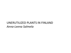 Lupin cultivation in Finland