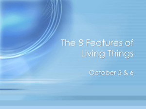 The 8 Features of Living Things