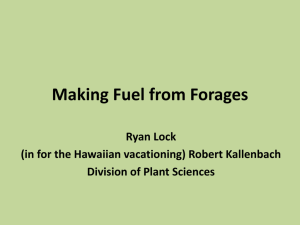 Making Fuels from Forages (PPT)