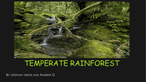 EnvSci TEMPERATE RAIN FOREST
