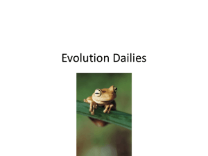 Evolution Dailies