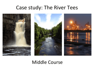 Middle Course of the River Tees