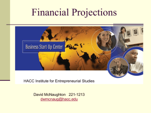 Financial Projections 2011 - HU - MGMT533