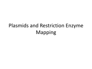 Plasmids and Restriction Enzyme Mapping