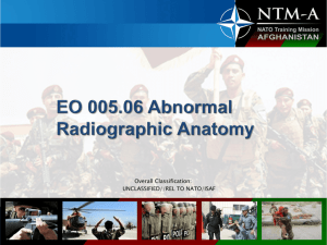 005.06_Lecture_3_Abnormal_Radiographic_Anatomy