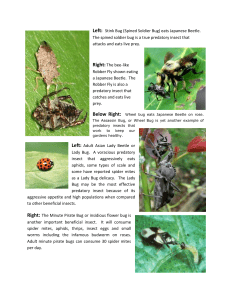 Beneficial Insects in Your Rose Garden