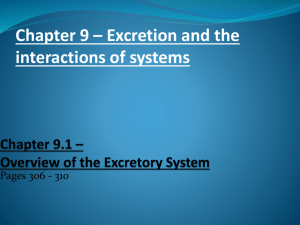 Chapter 9.1 – Overview of the Excretory System
